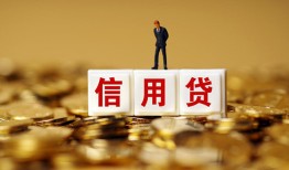 成都快速哪有个人借贷-成都快速小额贷款公司-成都快速私借空放免费上门