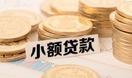 成都快速身份证贷款平台-成都快速私人借贷不查征信-成都快速空放借钱