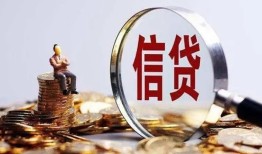 成都快速个人小额贷款-成都快速信用贷款-成都快速无抵押信用贷款